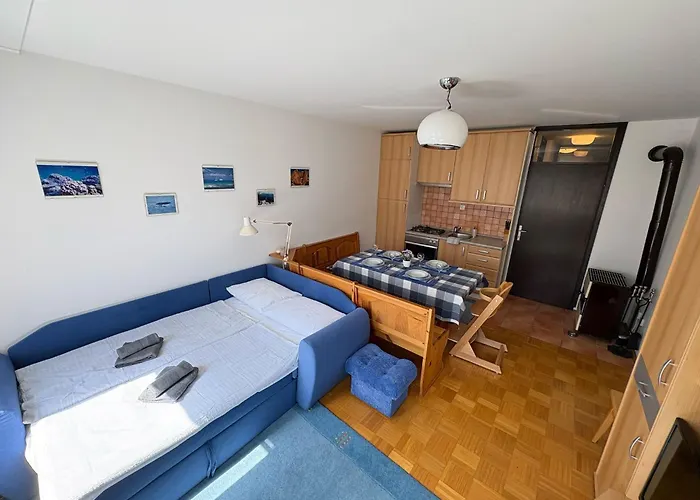 아파트 Apartma Lisjak *